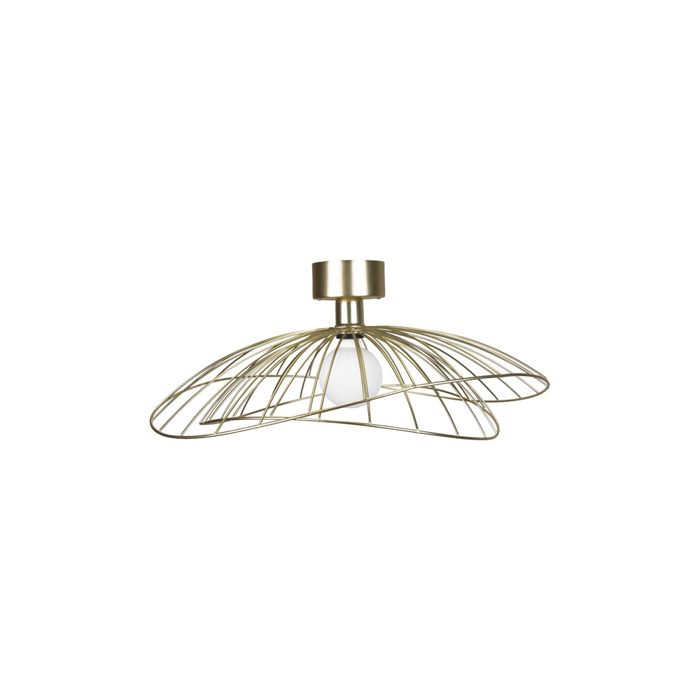 Globen Lighting Plafond / Vägglampa Ray Borstad Mässing