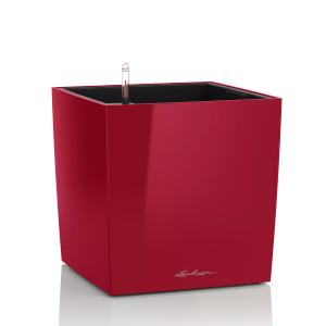 Lechuza Cube 30 självbevattningskruka Scarlet red high-gloss