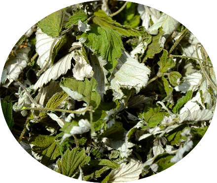 Hallonbladste  / Raspberry Leaf Tea 50gr