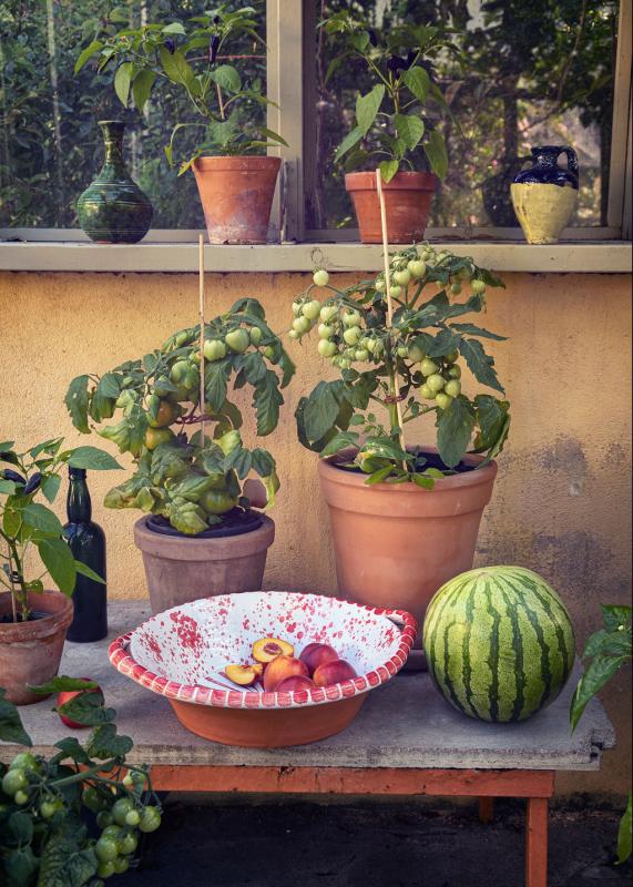 Handpainted terracotta bowl