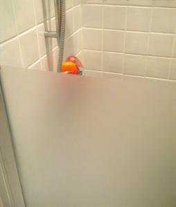 Insynsskydd PET frost 70 x 100 cm 