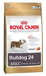 Bulldog 24 Adult