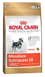 Miniature Schnauzer 25
