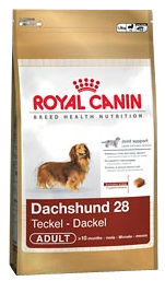 Tax Dachshund 28 Adult