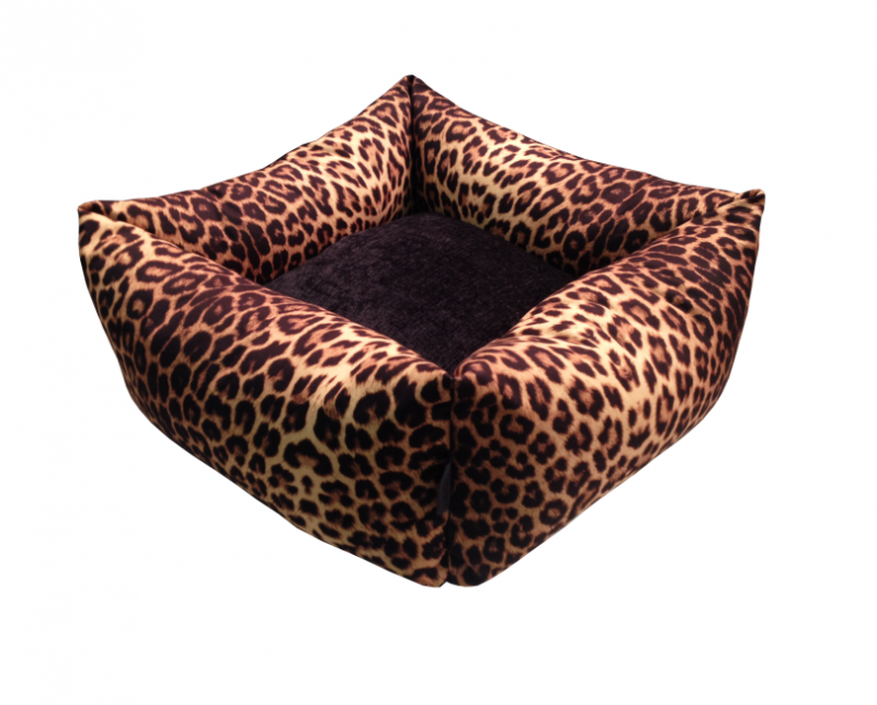 Monroe Wild Life leopard