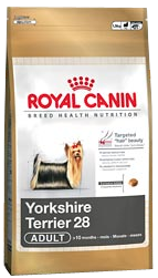 Yorkshire Terrier 28 Adult