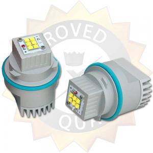 BMW Premium LED E39 E60