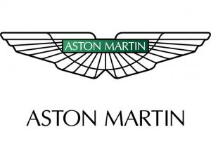 ASTON MARTIN LÄDER, VINYL & PLASTFÄRG