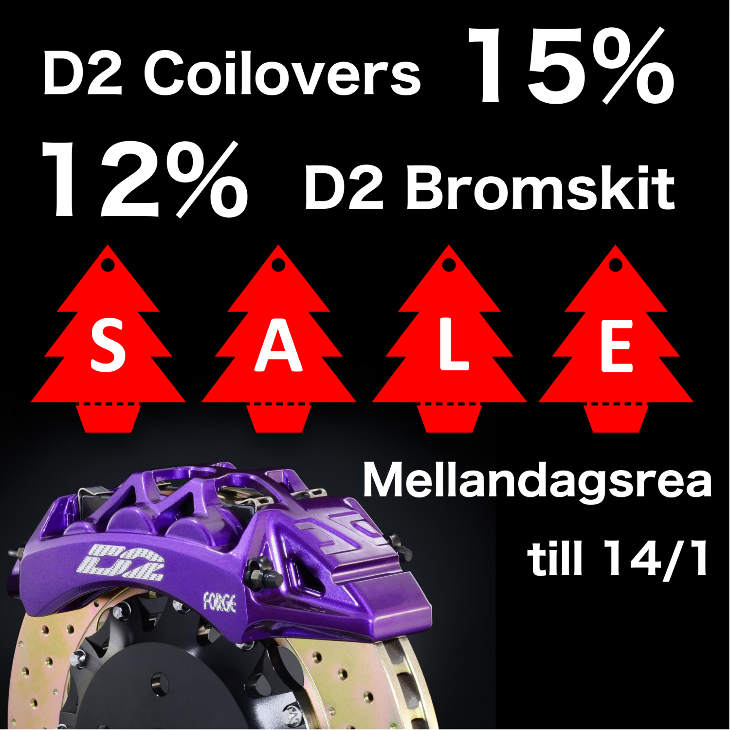 Mellandags-REA 25/12 - 14/1