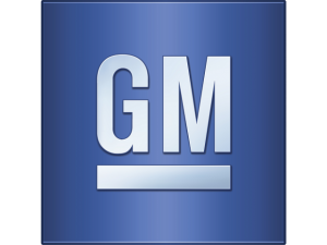 GM LÄDER, VINYL & PLASTFÄRG