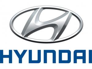 HYUNDAI LÄDER, VINYL & PLASTFÄRG