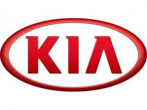 KIA LÄDER, VINYL & PLASTFÄRG