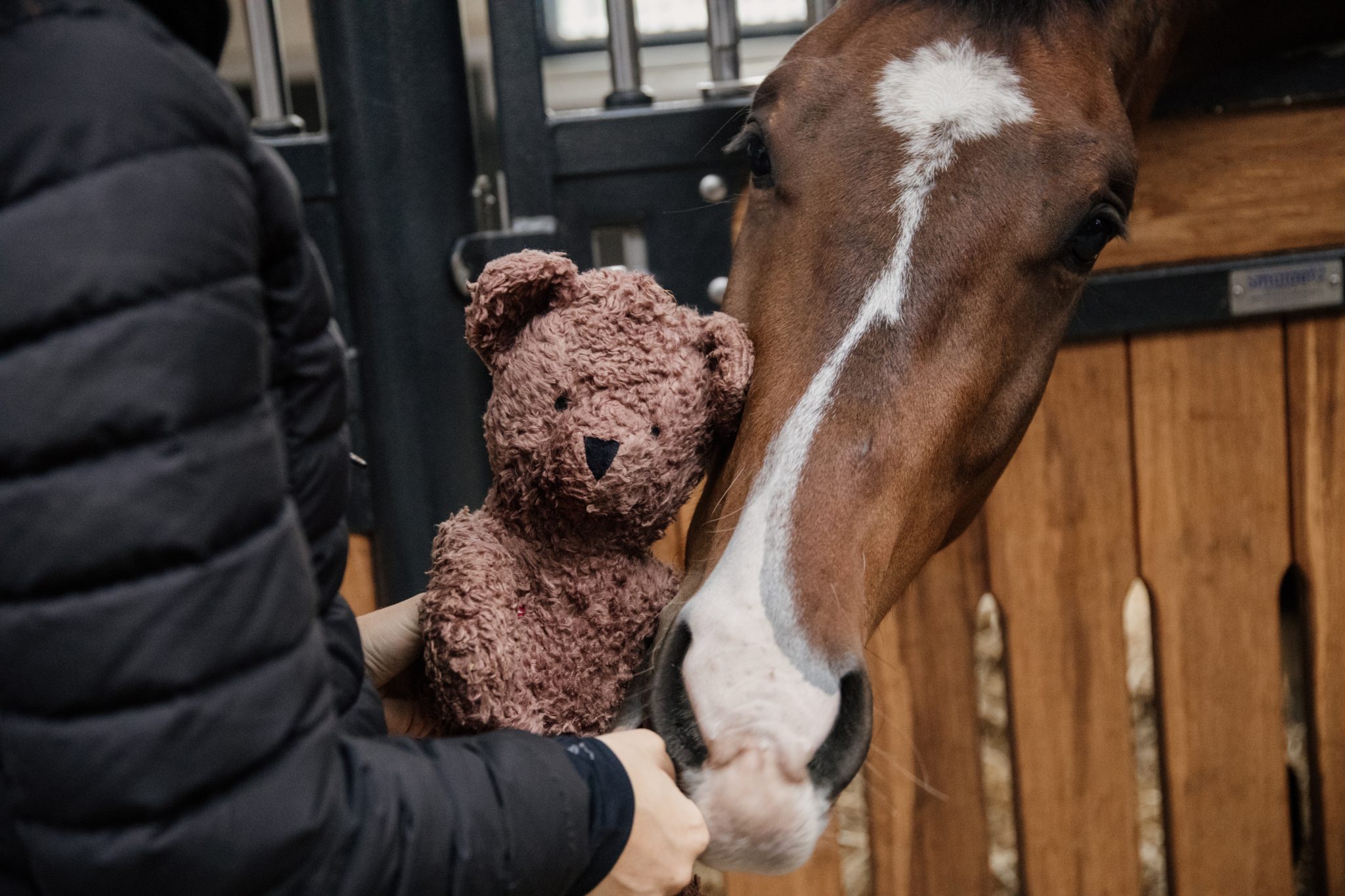 kentucky horse toy