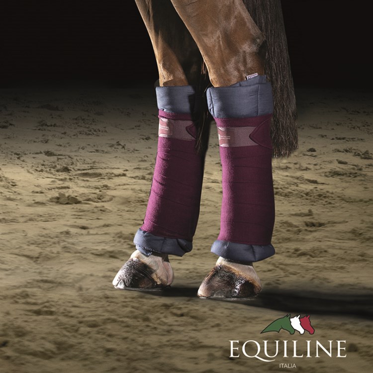 Equiline Quiltade Stallpaddar 4-pack