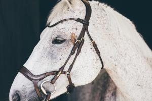 Utzon Bristol Träns Anatomisk Nosgrimma Brun M/S