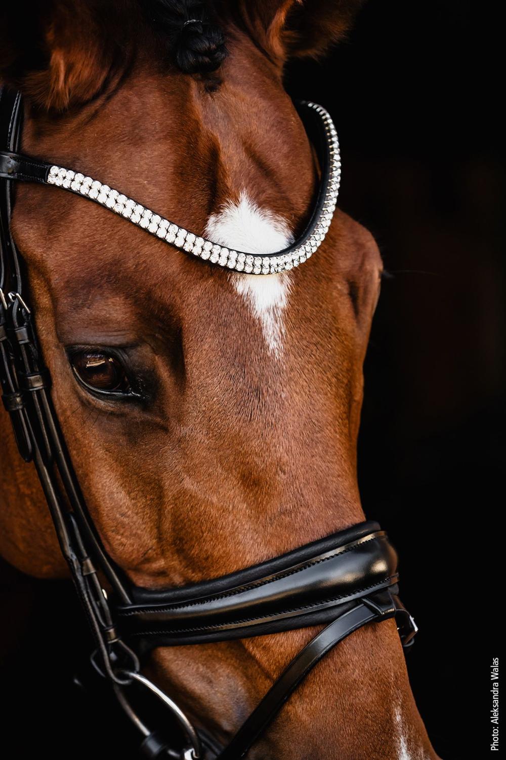Schockemöhle Dressyrträns/Bridle SP Isabell Werth Johnny Svart