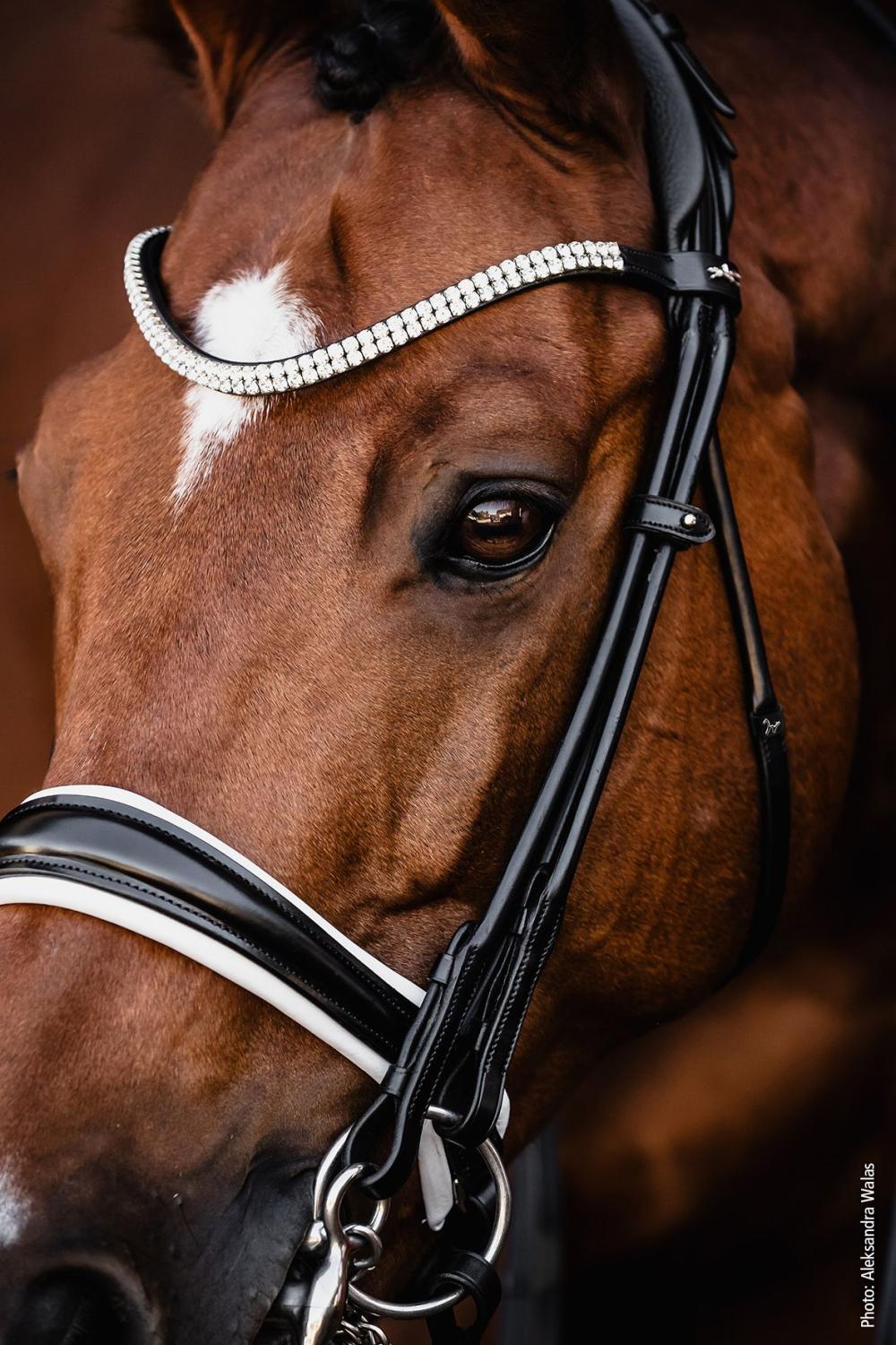 Schockemöhle Kandar/Double Bridle SP Isabell Werth Bella Rose