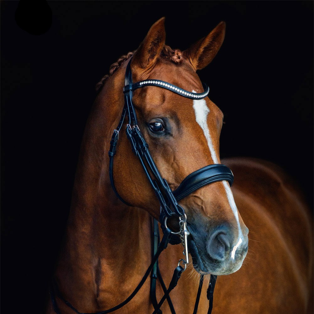 Schockemöhle Montreal Select Anatomic Hunter Bridle – Dover Saddlery Schockemöhle Montreal Select Anatomic Hunter Bridle – Dover Saddlery