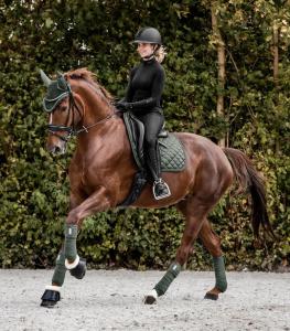 Walhausen Nepal Benlindor Fleece Olivgrön