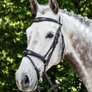 Prestige Träns kombinerad nosgrimma