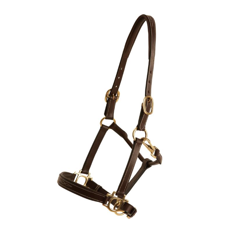 Lippo Fancy Lädergrimma Brun/Mässing