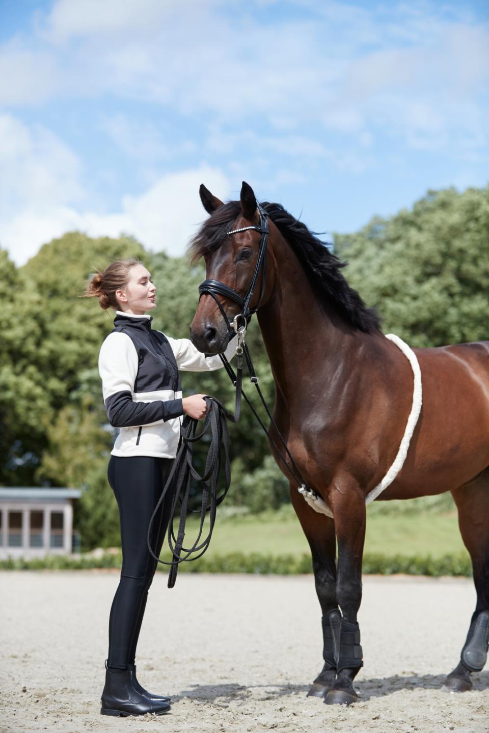 Horse Guard Soft Longeringshjälp