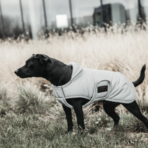 Kentucky Dog Coat Reflective Water Repellent