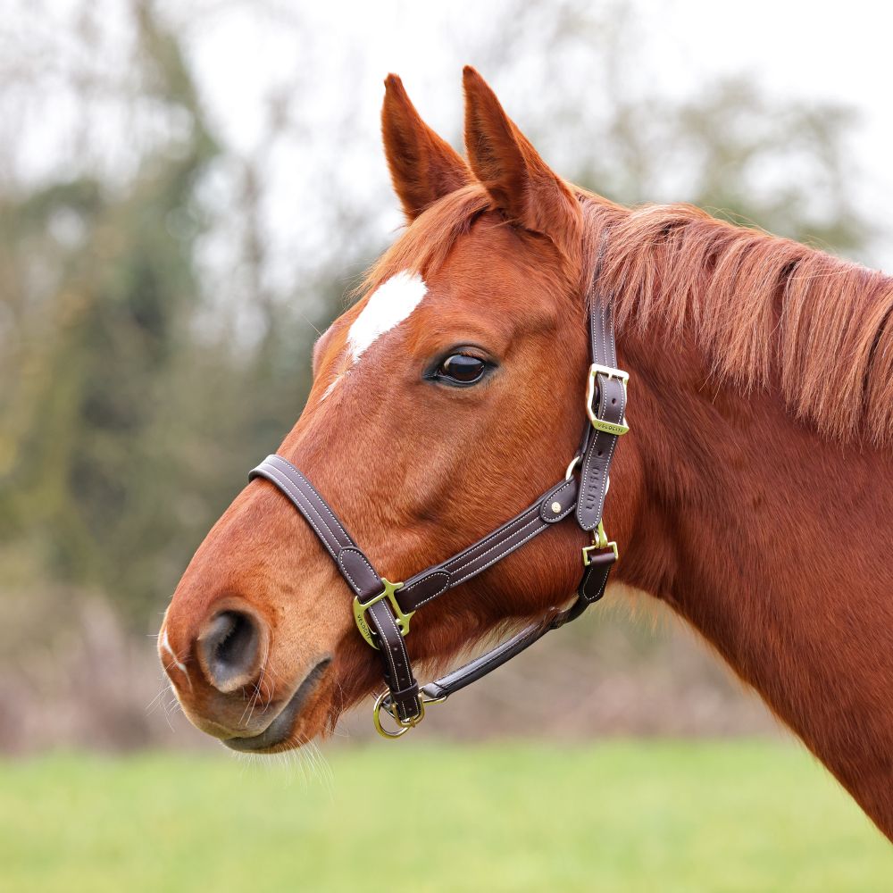 Velociti LUSSO Girona Lädergrimma