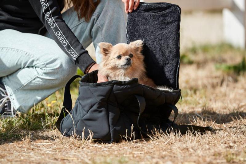 Catago Dog Carrier Bag Quilted Svart