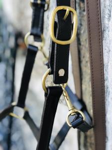 Otto Schumacher Grimma + Grimskaft