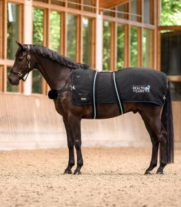 Waldhausen Health + Care TecSupreme heating and massage rug