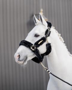 Kentucky Sheepskin Shipping Halter/Grimma