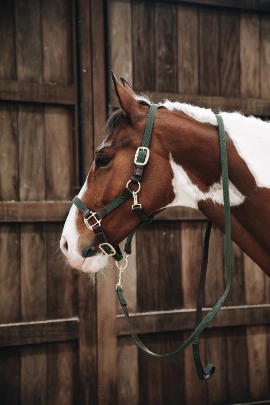 Kentucky Plaited Nylon Horse Lead 200cm