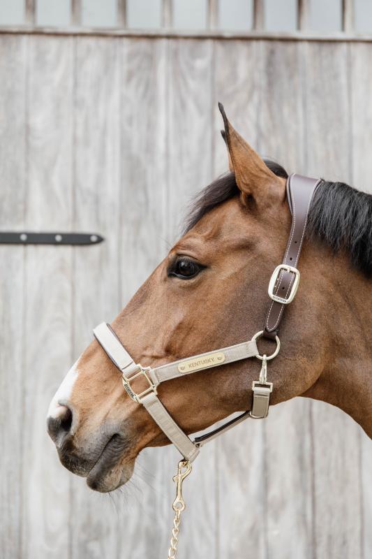 Kentucky Nylon Anatomisk Halter/Grimma