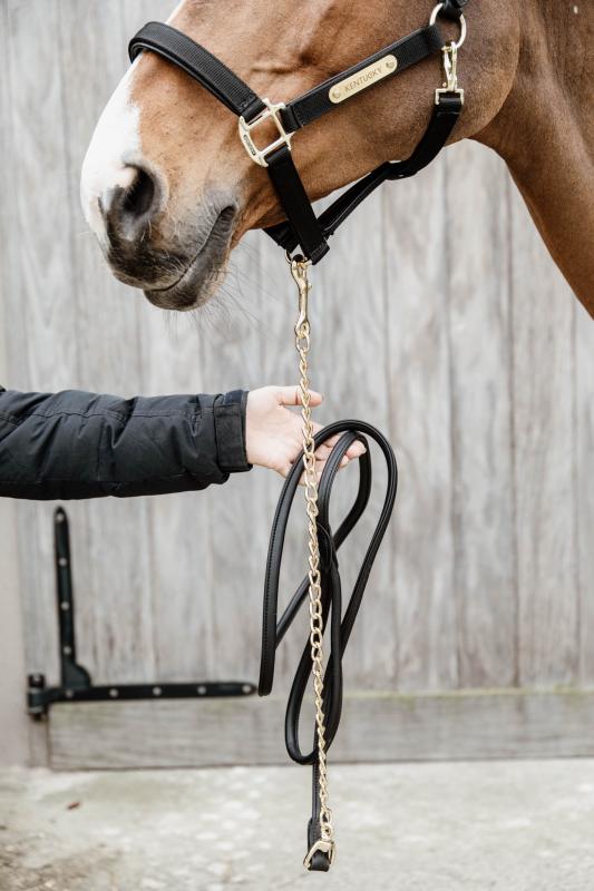 Kentucky Leather Chain Lead/Lädergrimskaft Med Kedja 270cm