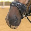 Shires FlyGuard Pro Nosnät till Träns, Black