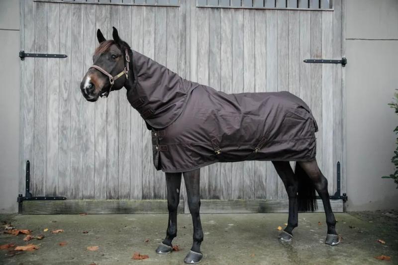 Kentucky Turnout Rug All Weather Waterproof Pro 160g Brown