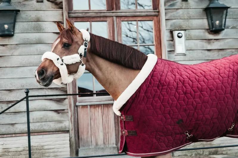 Kentucky Show Rug Velvet 160g Bordeaux