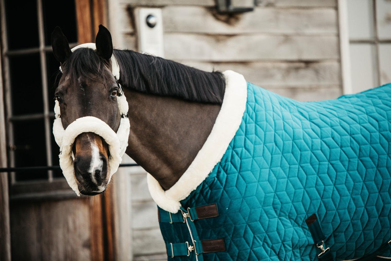 Bing Show Rug Kentucky Show Rug Velvet 160g Emerald