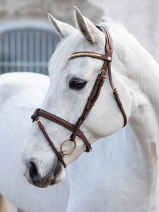 Jacson California Träns med Klinker