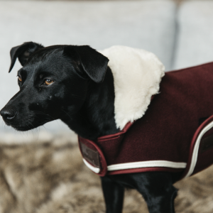 Kentucky Dog Coat Heavy Fleece Bordeaux