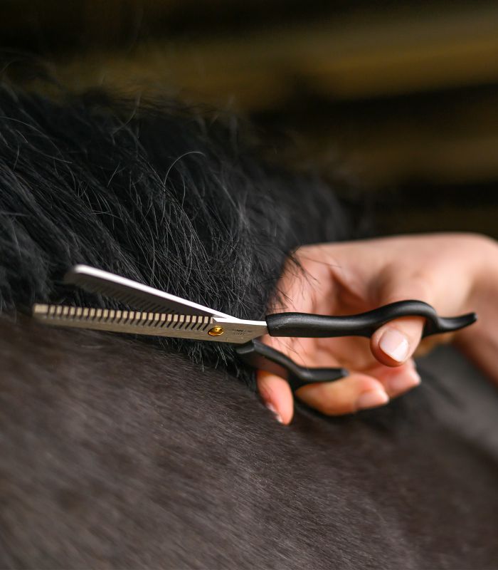 Waldhausen Effileringssax