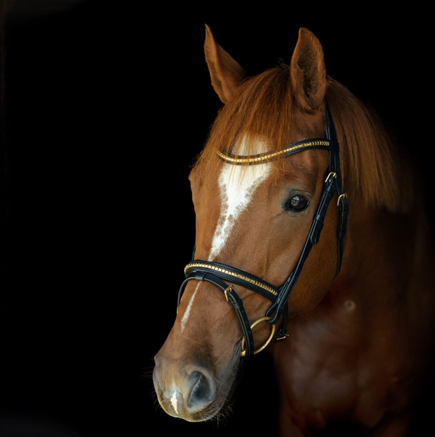 Hansbo Sport Träns med Klinker Mässing