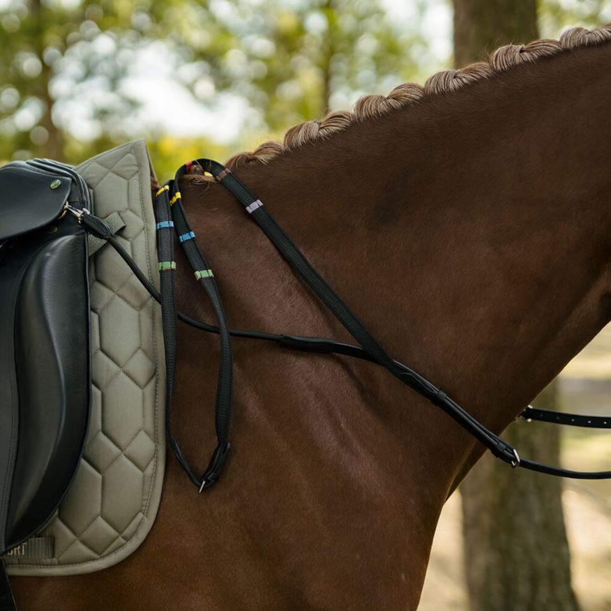 Hansbo Sport Hjälptygel BalanceBuddy Svart