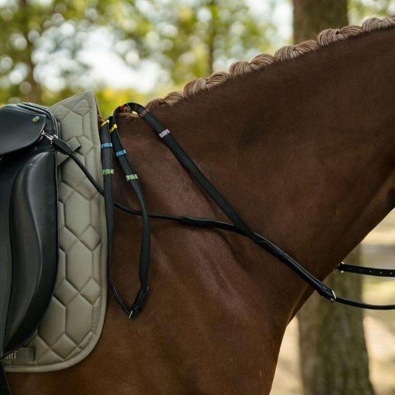 Hansbo Sport Hjälptygel BalanceBuddy Svart