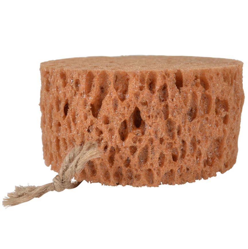 Borstiq Groomingsvamp Rund