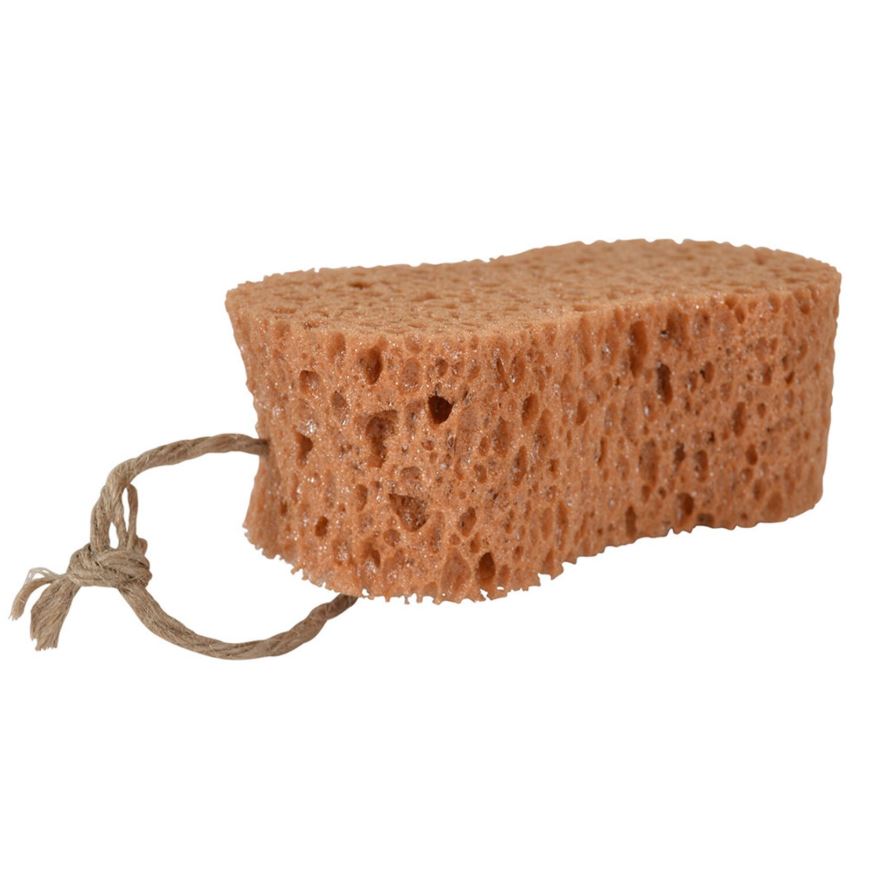 Borstiq Groomingsvamp Oval