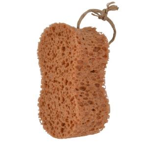 Borstiq Groomingsvamp Oval