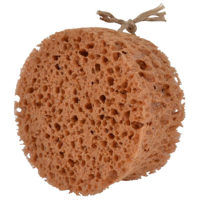 Borstiq Groomingsvamp Rund