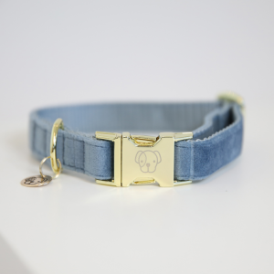 Kentucky Dog Collar Velvet